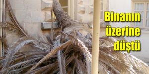 Büyük hasar yaptı!