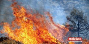 Baf’ta hafta sonu yangınlarla geçti