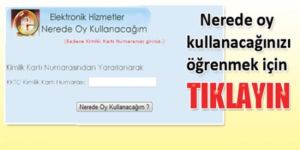 2013 Erken Genel Seçimi