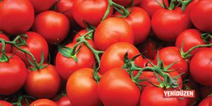 65 ton domates geri çevrildi