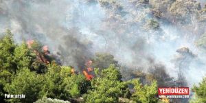 Kalkanlıda 20 dönümlük ormanlık alan yandı