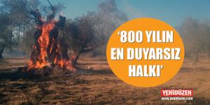 Kalkanlı’daki zeytin ağaçları ile ilgili açıklama