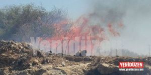 Yol kenarındaki kuru otlar yandı!