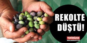 Siyah İncide yok yılı