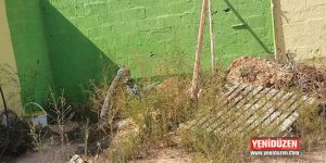 Yıllardır el değmedi