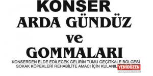 Şarkılar sokak köpekleri yararına