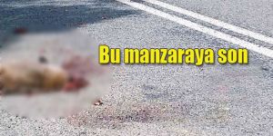 Hayvan cesetler için çalışma