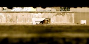 İnce Yeşil Hat projesiyle öyküler canlanıyor