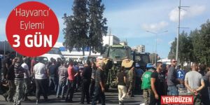 UZLAŞI YERİNE GÖZALTI