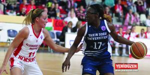 Avrupa’da YDÜ fırtınası