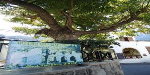 GİRNE’DE BİR GÜN