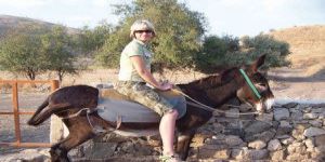 Eşeklerin artık sütü de var!