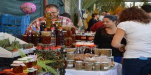 Ptoleme Kralı’nın Oğlu Lefcos’un Lefke’si