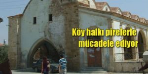 Dörtyol köyünü ‘pire’ler bastı