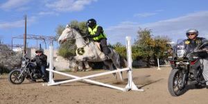 ‘Gerçek At’ ve ‘Demirat’ Kardeşliği…