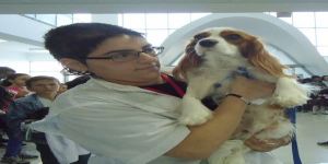 Yakın Doğu Üniversitesi’nde bir kuruluş yılı etkinliği… PET FEST