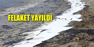 500 metrelik sahil şeridi petrole gömüldü