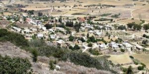 Bladanisyo / Balalan köyünün tarihi geçmişi  HORGON DU ZEKÂ BEY