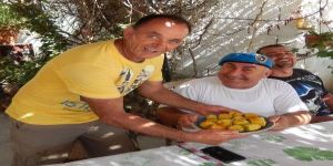 Boğaz’da Balık, Mağusa’da Mısır…