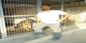 İrma Köpek Çiftliği-Serhatköy