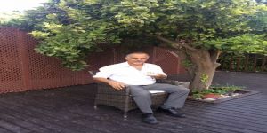 Şeker Portakalı Ağacı