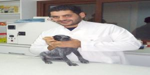 Bilmediğimiz ama öğrenmemiz gereken bir hastalık… LEISHMANIA