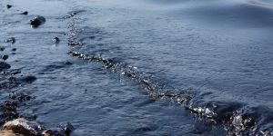 “Bunun adı ihmaldir”