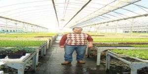 Ve 28 çeşit domates