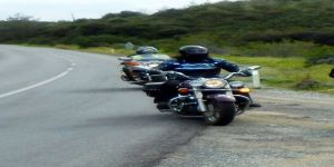 Yeşilırmak Vouni King Gezisi…