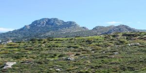 Beşparmaklar, Lara ve Alagadi bilinmezleri…