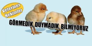 Yalancı Veba hakkında sınıfta kaldık 