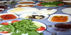 Teos Ormancı Tatil Köyü-Seferihisar