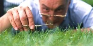 Takıntılı Mıyım?