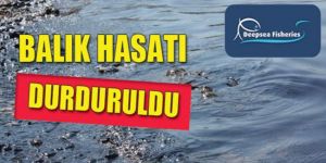 Kalecikteki balık çiftiği açıklama yaptı