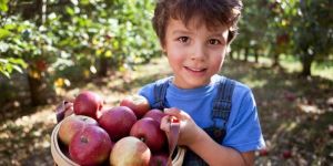 Sağlıklı beslenelim derken zehirleniyor muyuz?