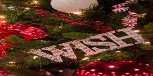 Bu senenin baş tacı sağlık ve sevgi olsun