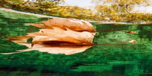 Yeni Yıl Yeni Hayaller