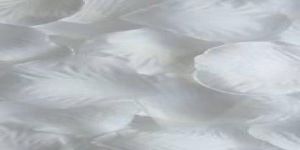 Yaşayacaklarımız… Yaşadıklarımızın ışığında güzel…