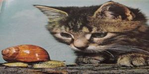 ŞİİRLERLE BÜYÜSÜN ÇOCUKLAR