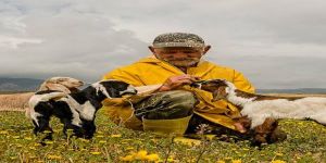 Kıbrıs’ın dokusu fotoğraflarda saklanıyor