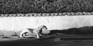 Sandığıma çok memnun oldum.