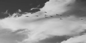 ‘Tahtadan hayaller’ ıslanır mı?