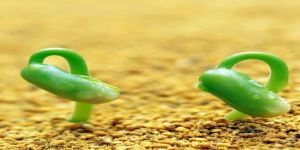 Mutluluğun olmayan erkiyle buluşmak…