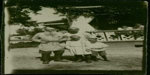 Bir garip Tolstoy Efendi