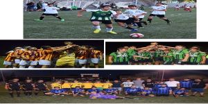 Hepsi birer şampiyon