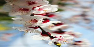 ŞİİRLERLE BÜYÜSÜN ÇOCUKLAR