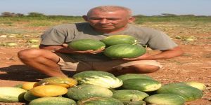 Tohum Merkezinden Yeryüzü Pazarına