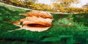 ŞİİRLERLE BÜYÜSÜN ÇOCUKLAR