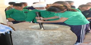 Mutfağımızda Dibek Gavesi