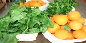 Ada’nın geleceği organik tarımda…